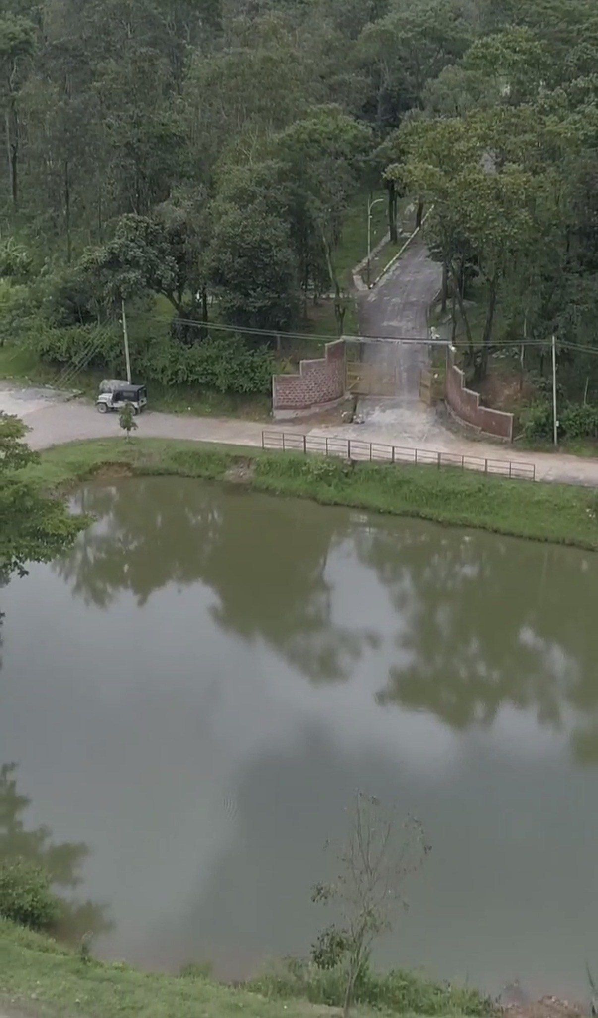 Actual Sakleshpur estate entrance framed by mature trees